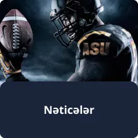 Nəticələr